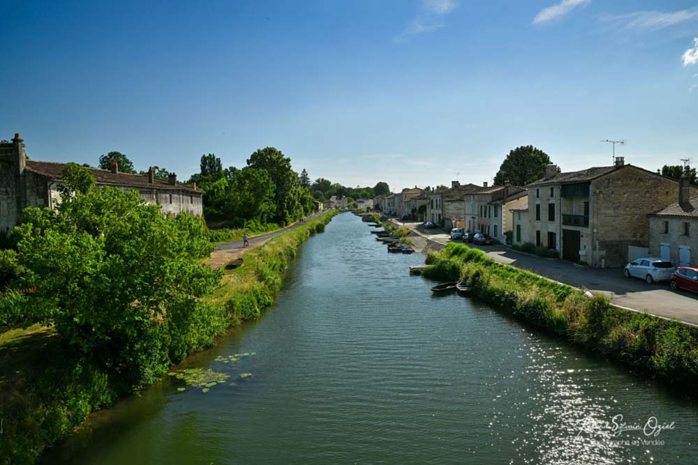 visit to the town of Coulon in the Marais Poitevin